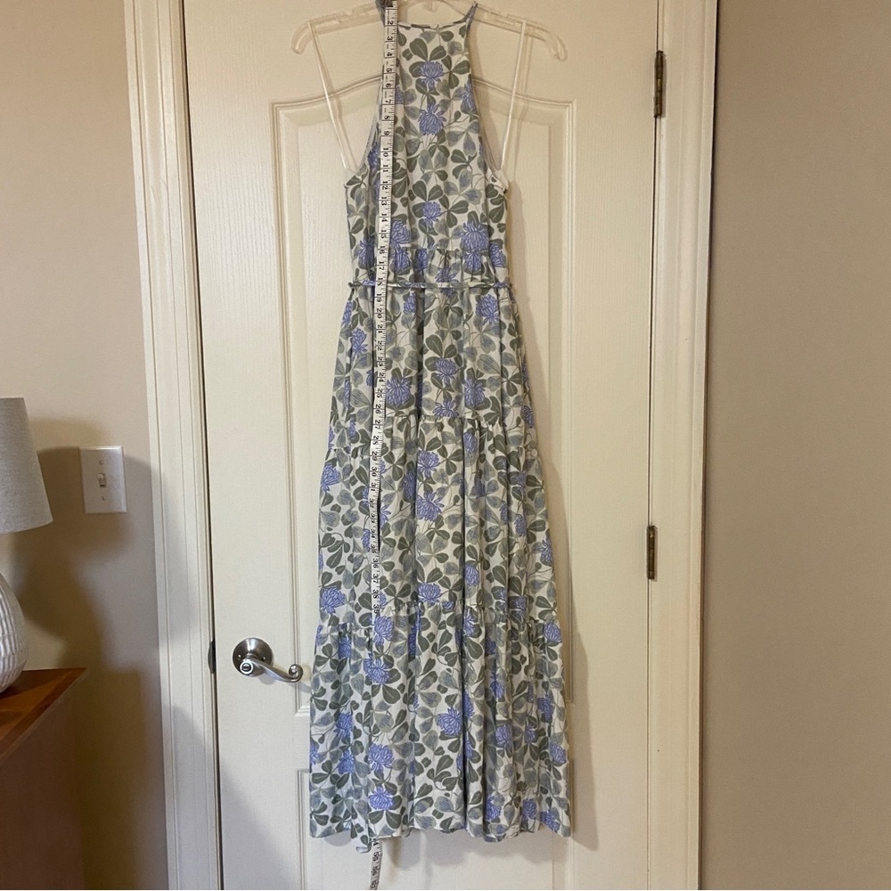 Hermoza Blue and Green Floral Maxi Dress - Picture 8 of 14